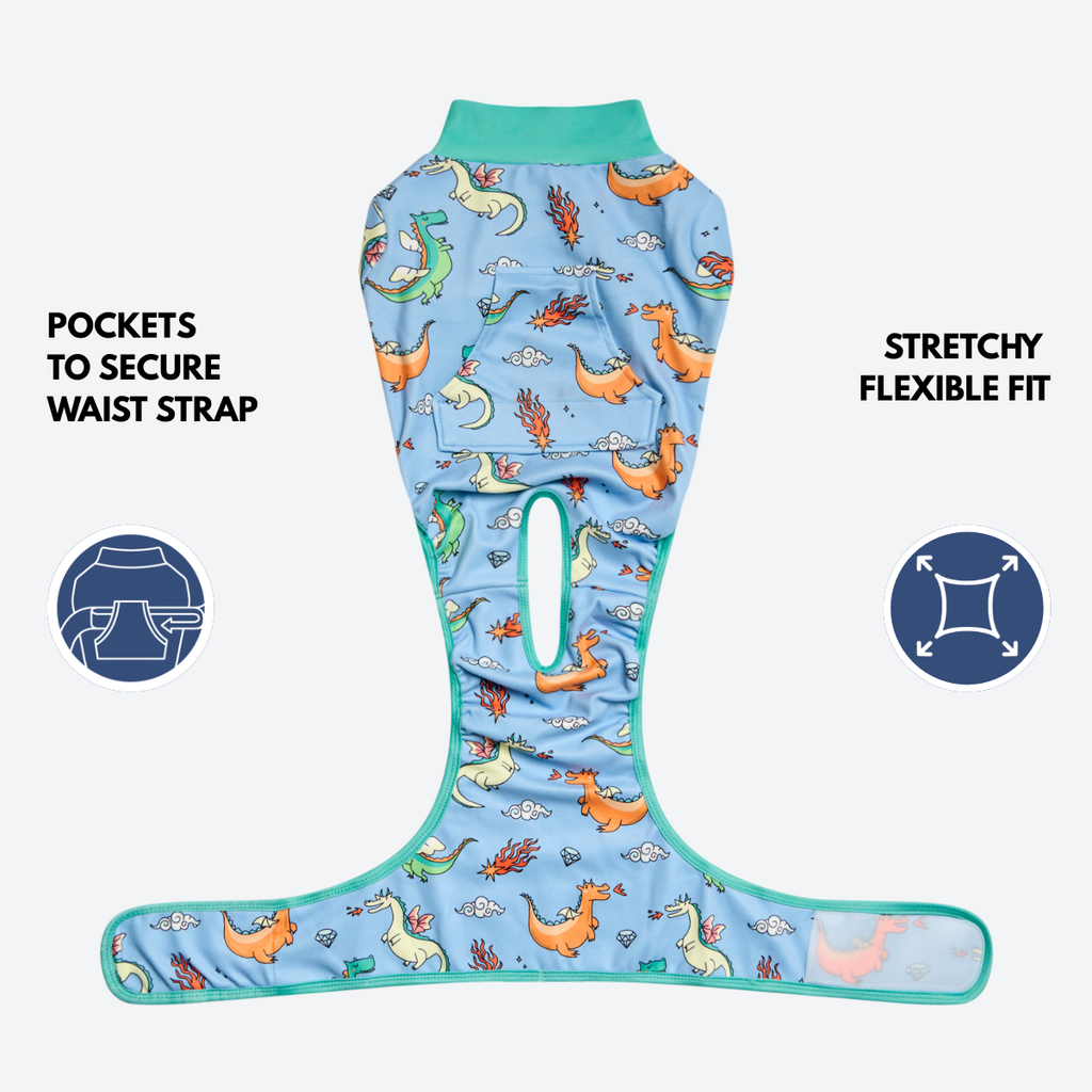 Dog Surgical Suit