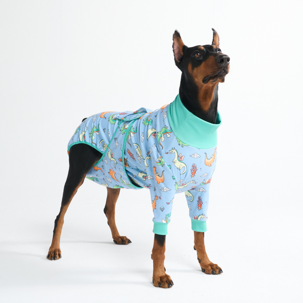 Dog Surgical Suit