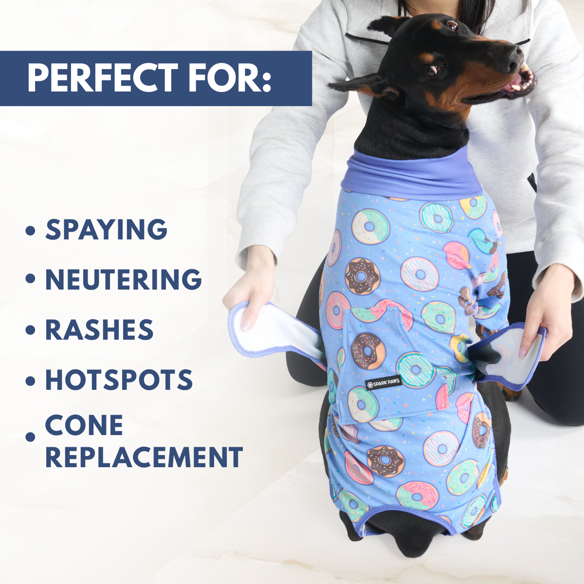 Dog Surgical Suit
