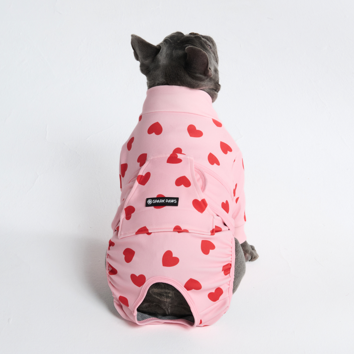 Dog Surgical Suit