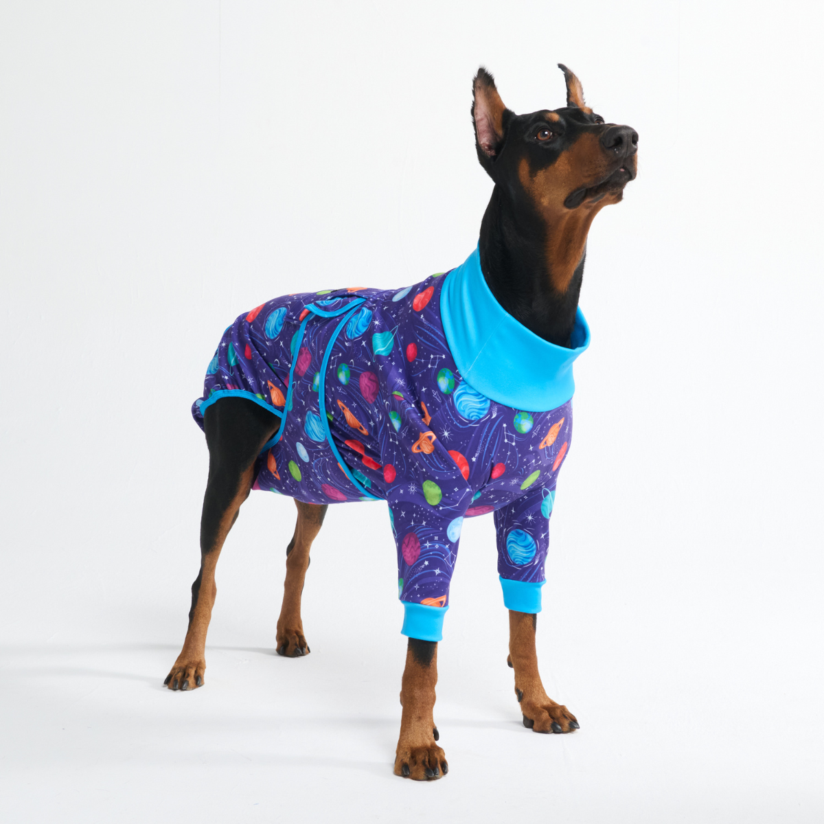 Dog Surgical Suit