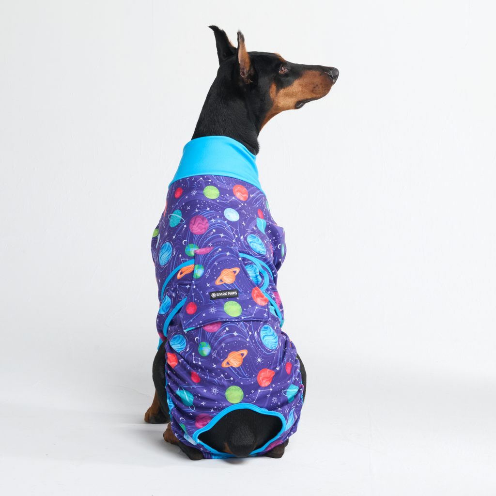 Dog Surgical Suit