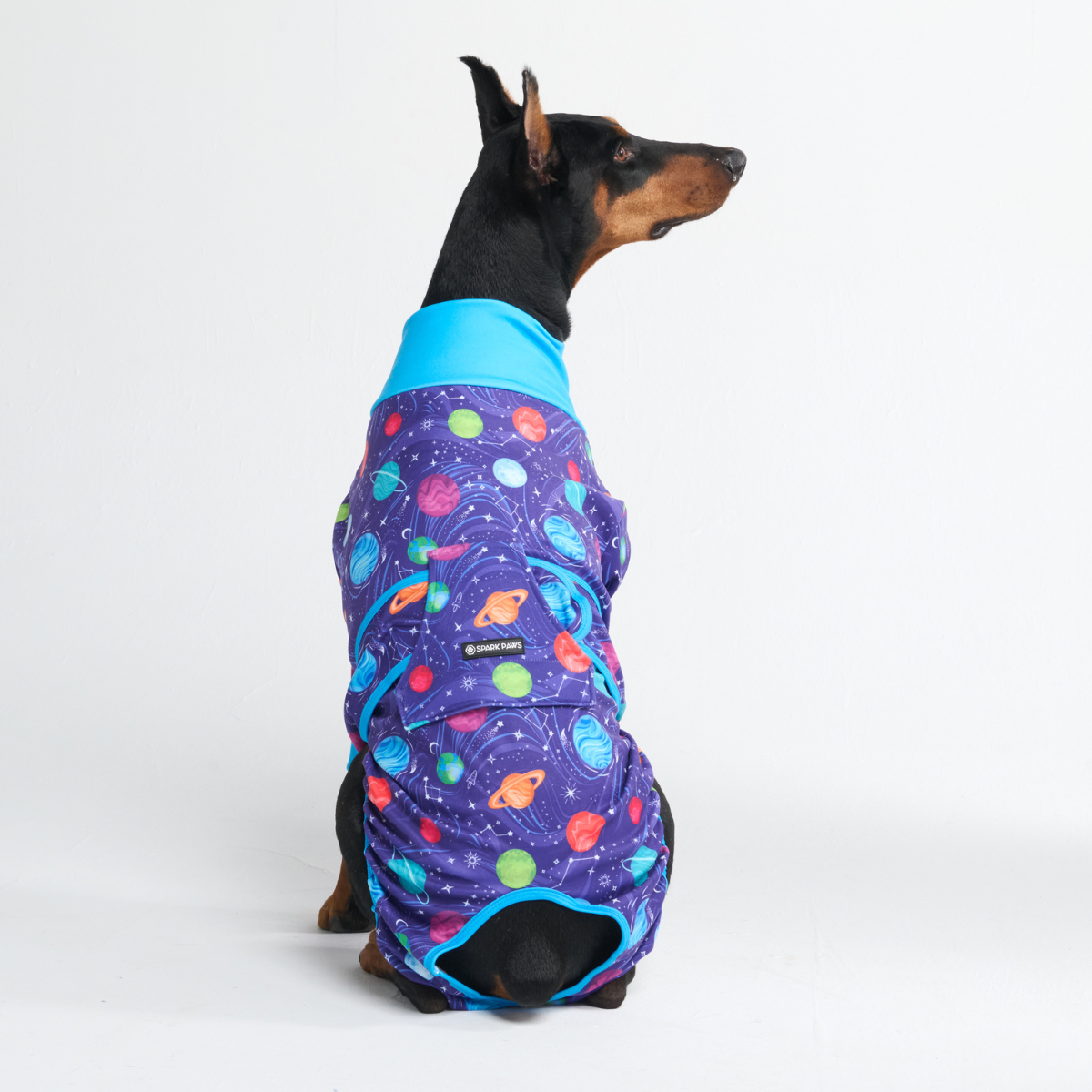 Dog Surgical Suit