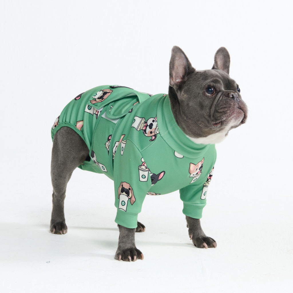 Dog Surgical Suit