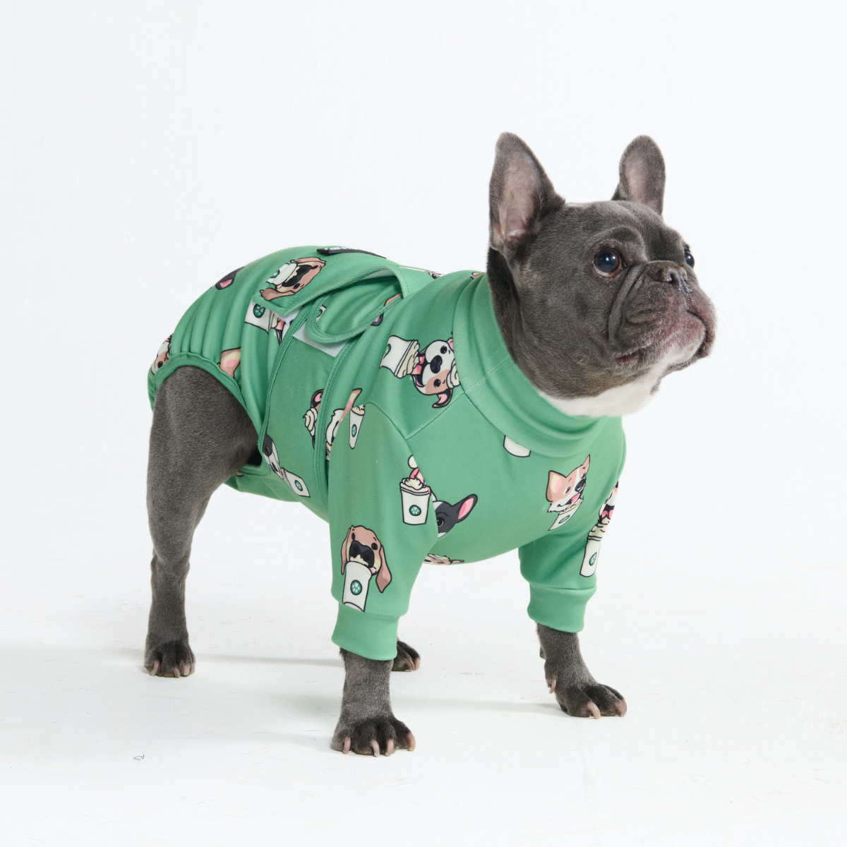 Dog Surgical Suit