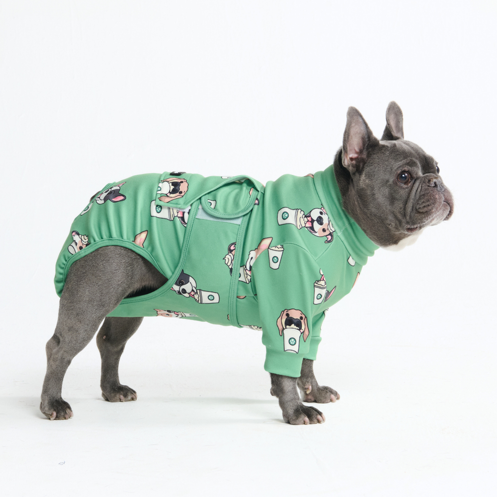 Dog Surgical Suit