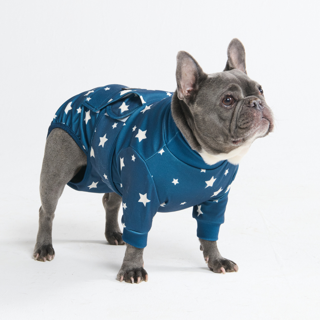 Dog Surgical Suit