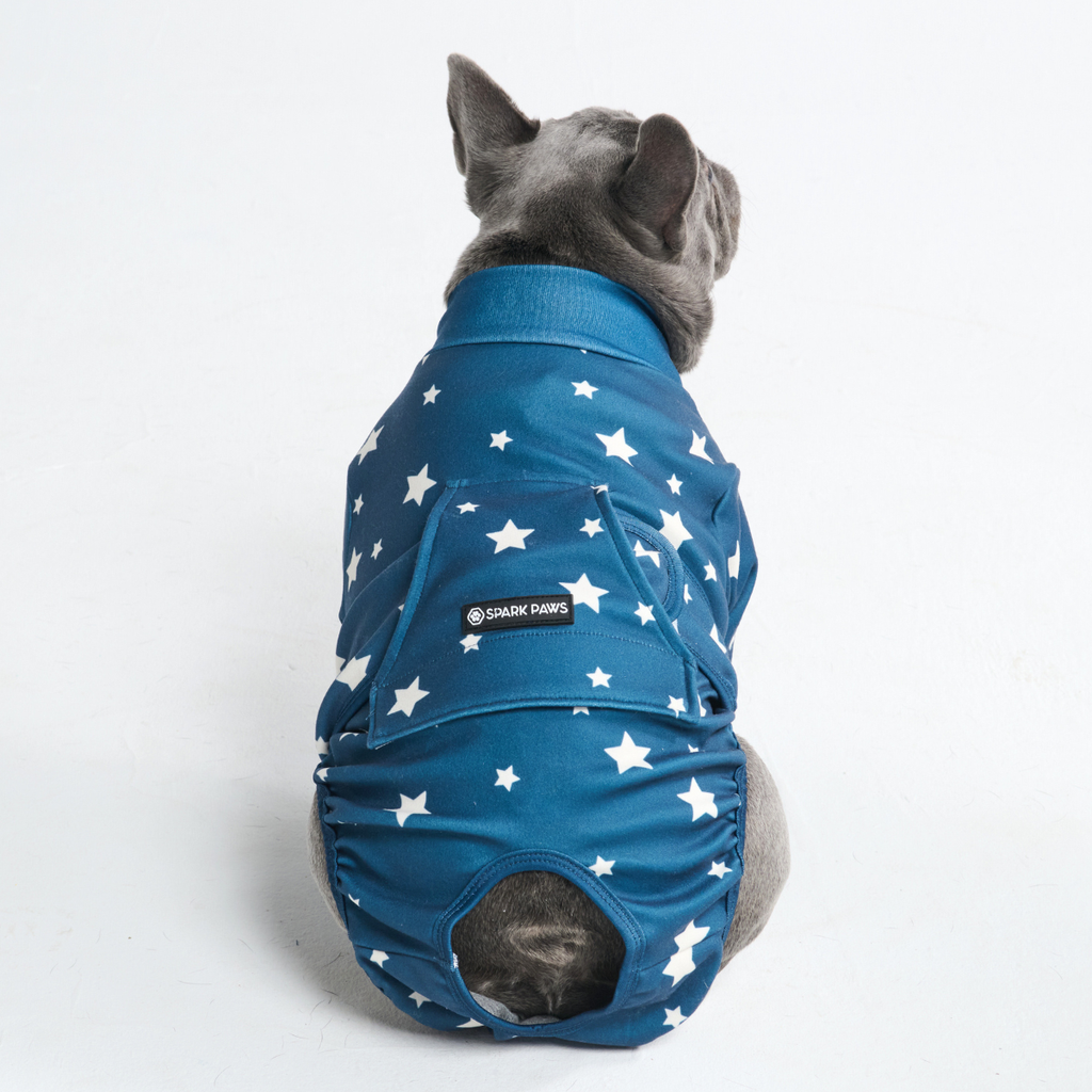 Dog Surgical Suit