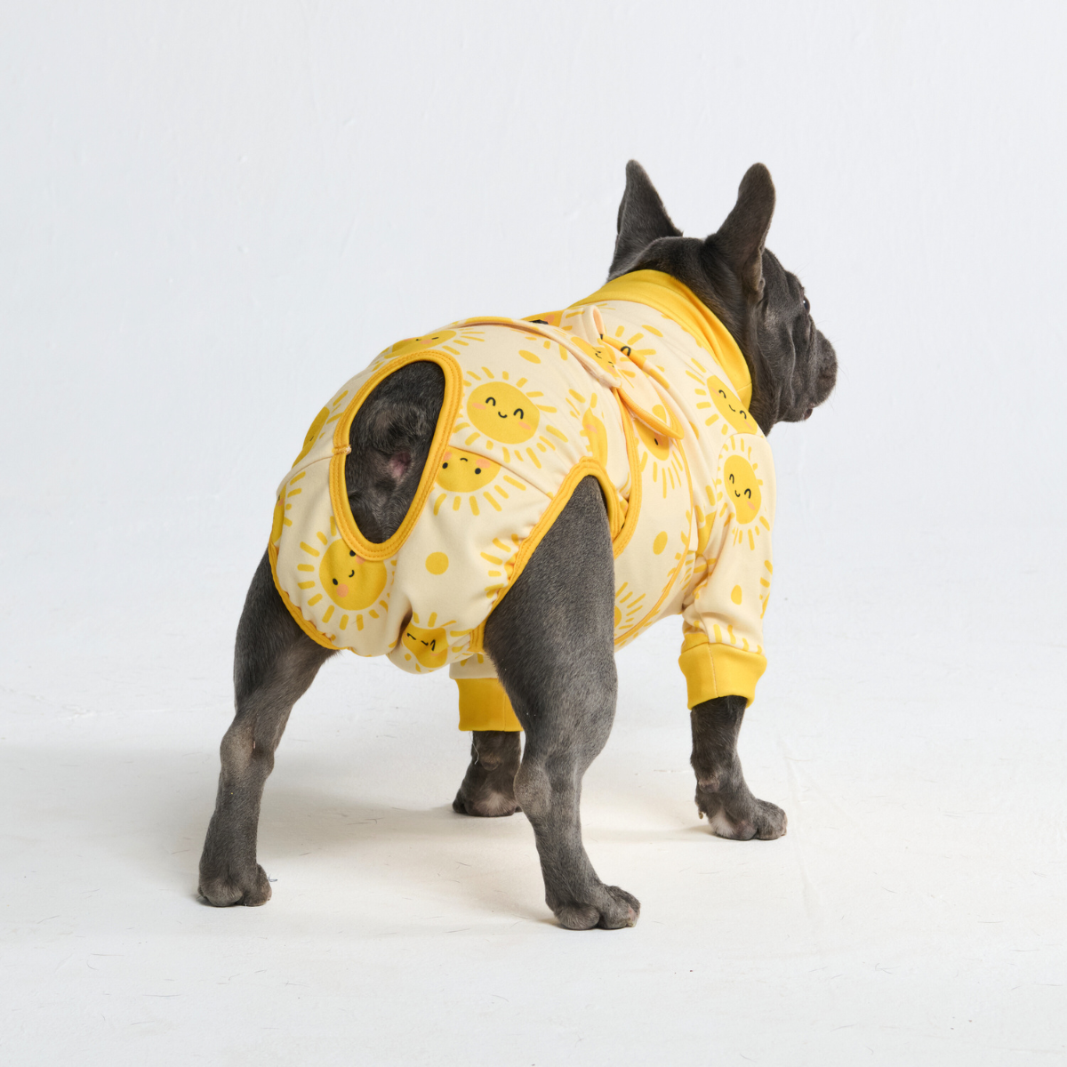 Dog Surgical Suit
