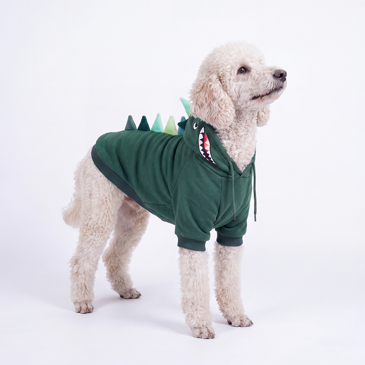Halloween Dog Hoodies (Limited Edition)