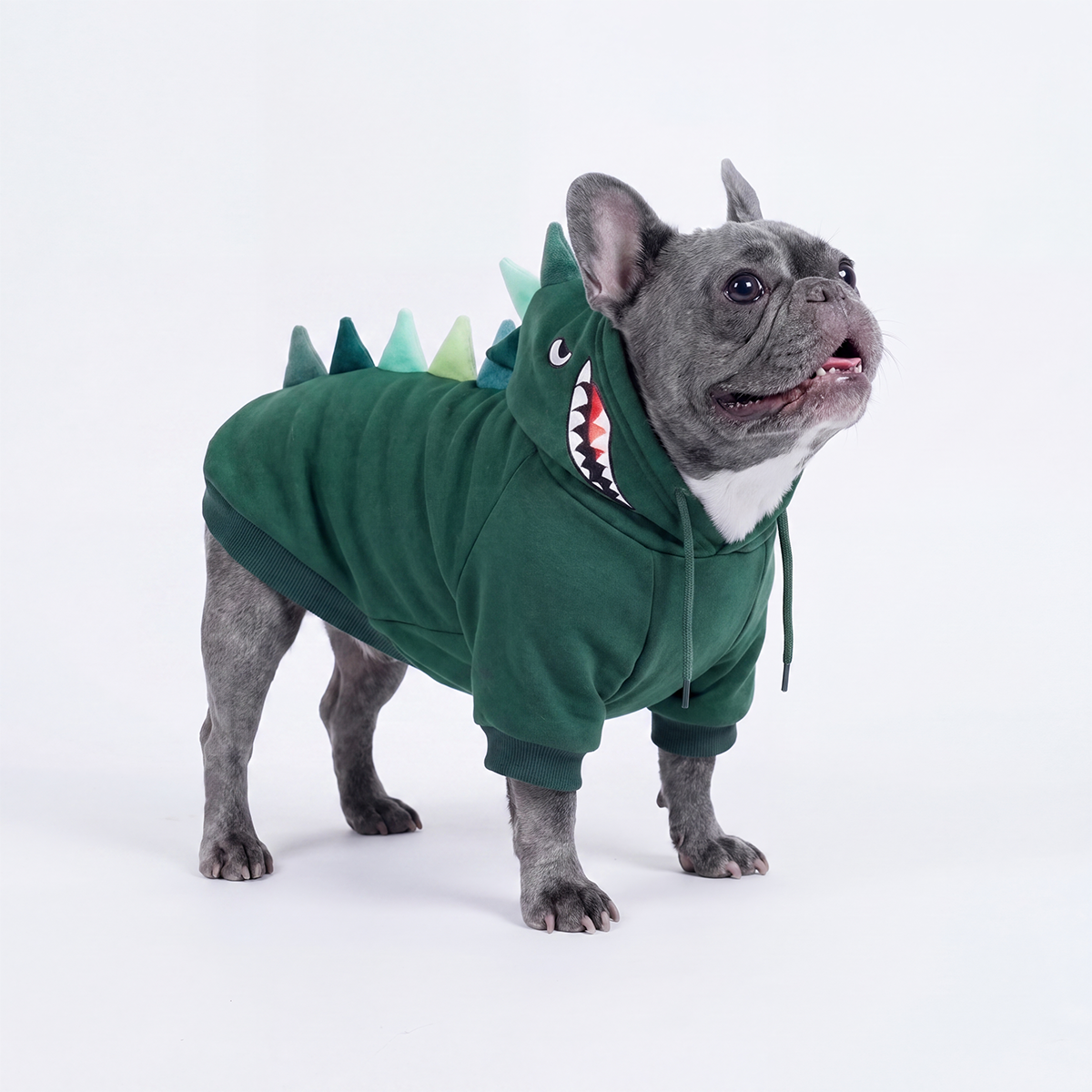 Halloween Dog Hoodies (Limited Edition)