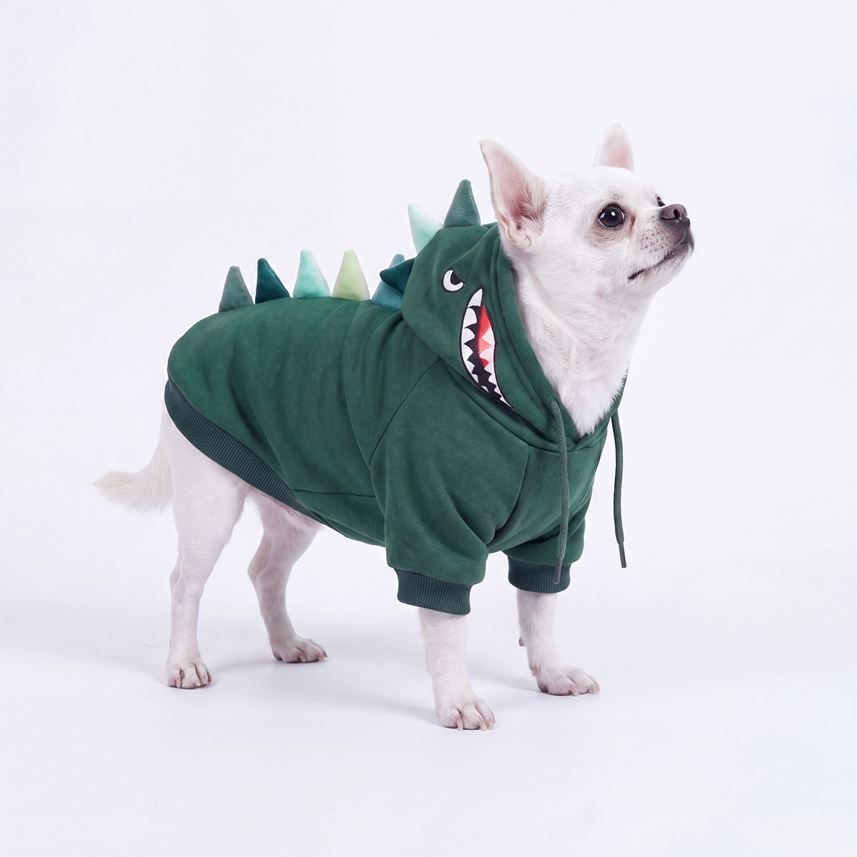 Halloween Dog Hoodies (Limited Edition)
