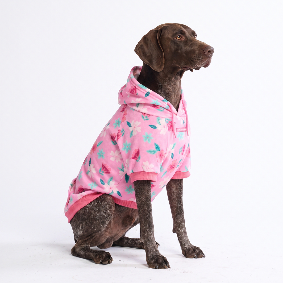 Dog Hoodie Prints