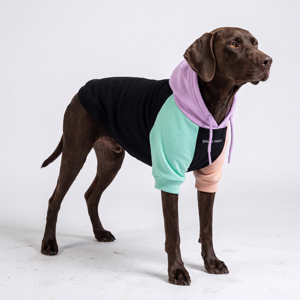 Color Block Dog Hoodies