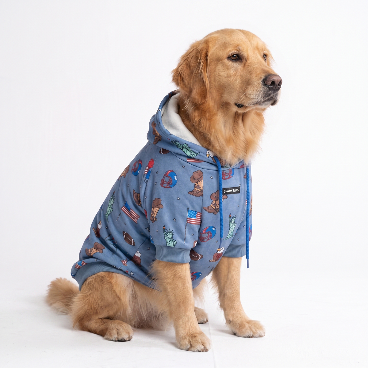 Around the World Dog Hoodies