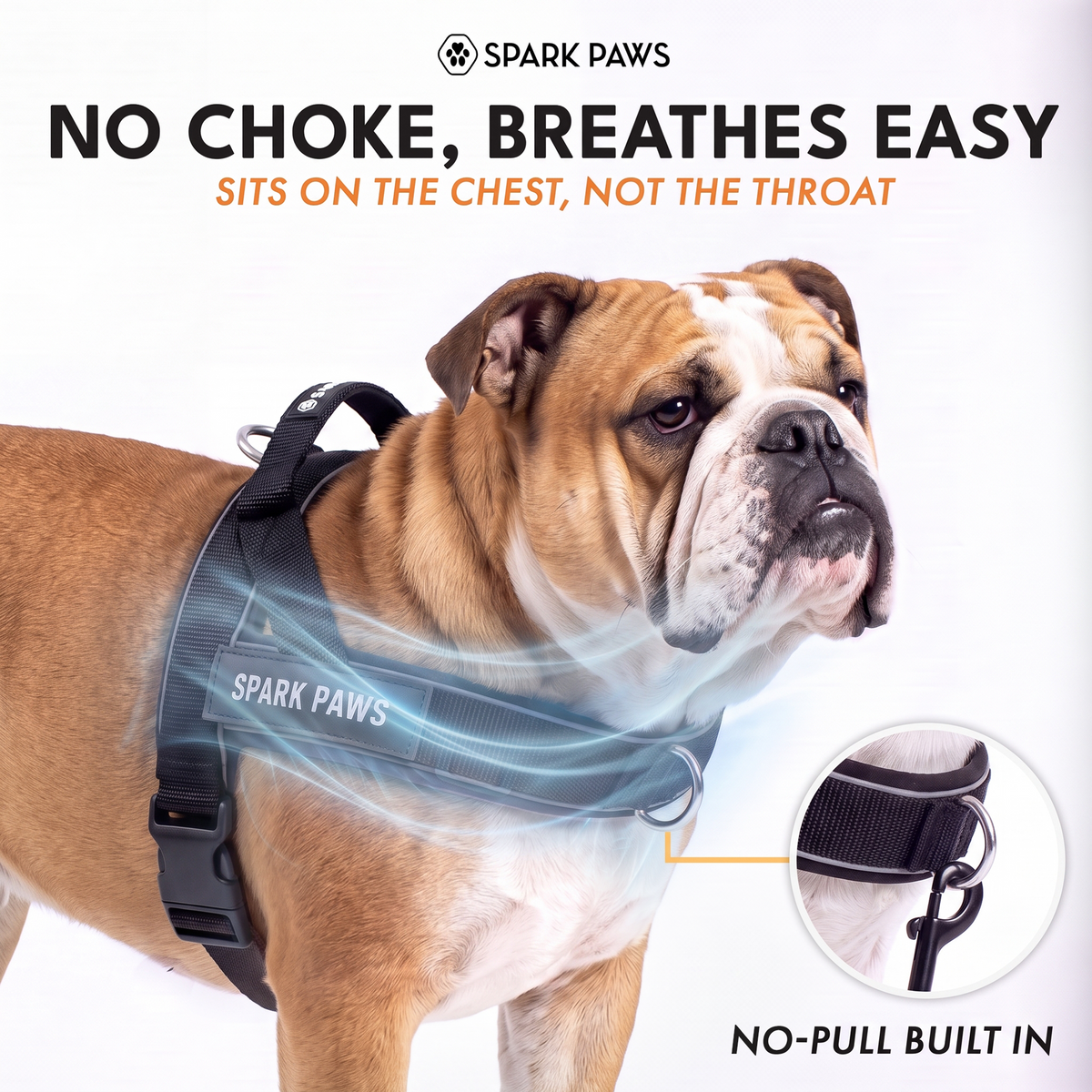 Grab & Go Harness