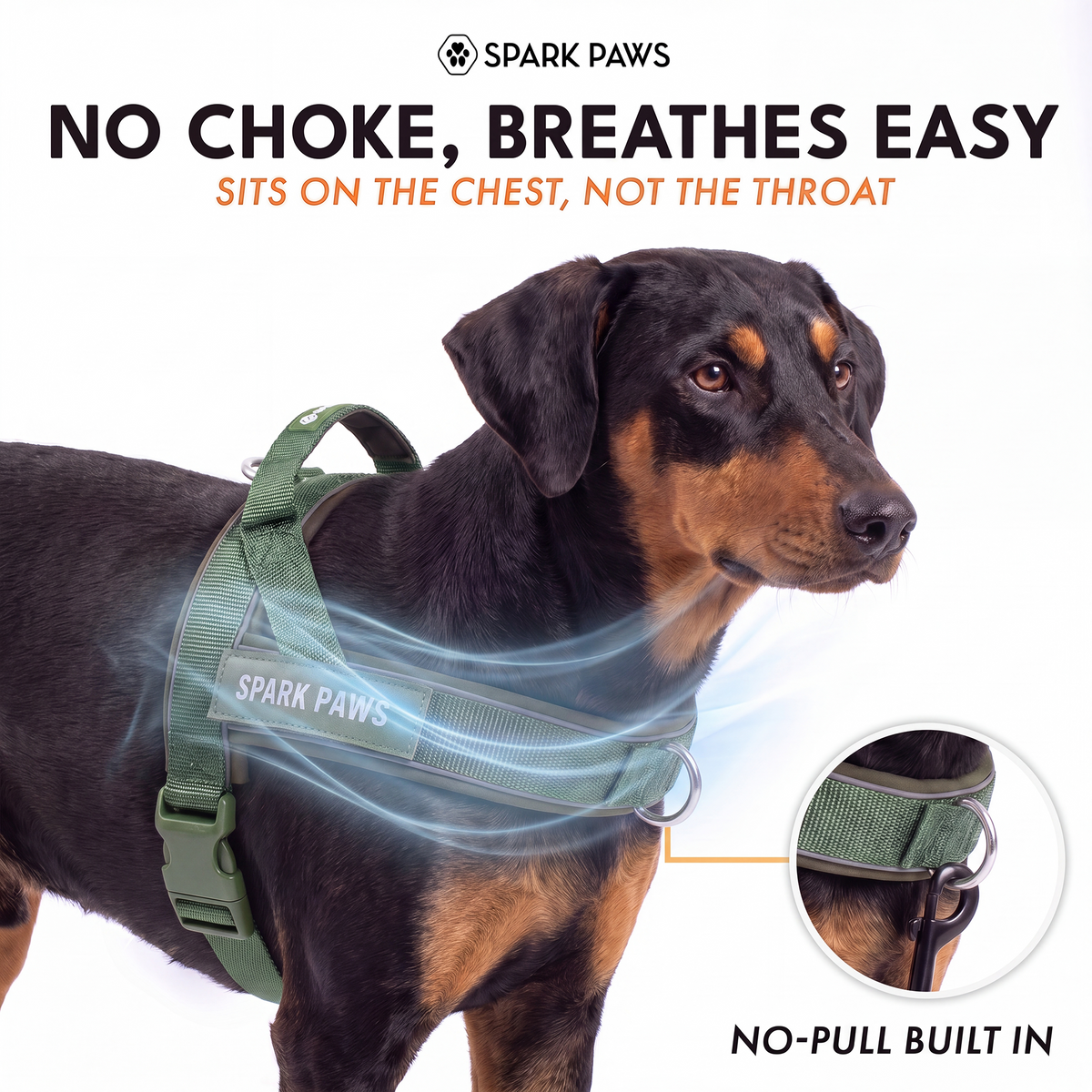 Grab & Go Harness