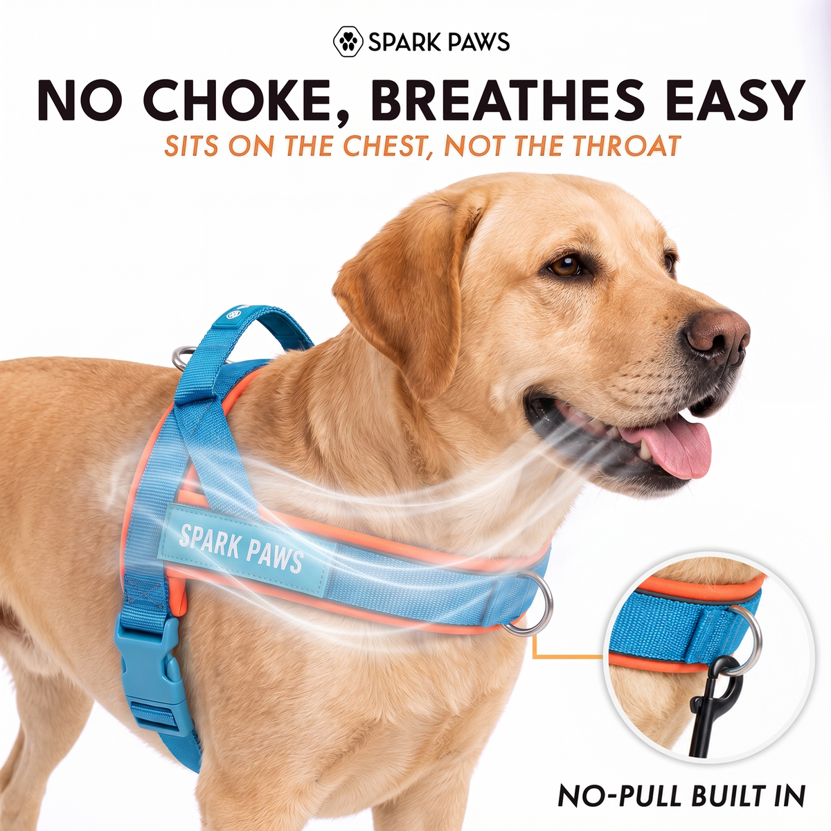 Grab & Go Harness