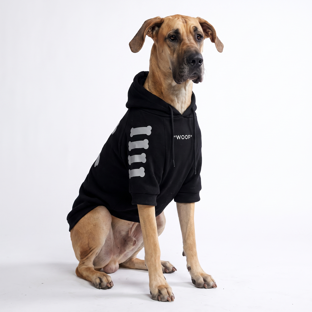 Dog Hoodie Prints