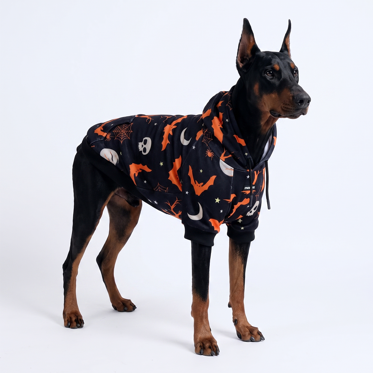 Halloween Dog Hoodies (Limited Edition)
