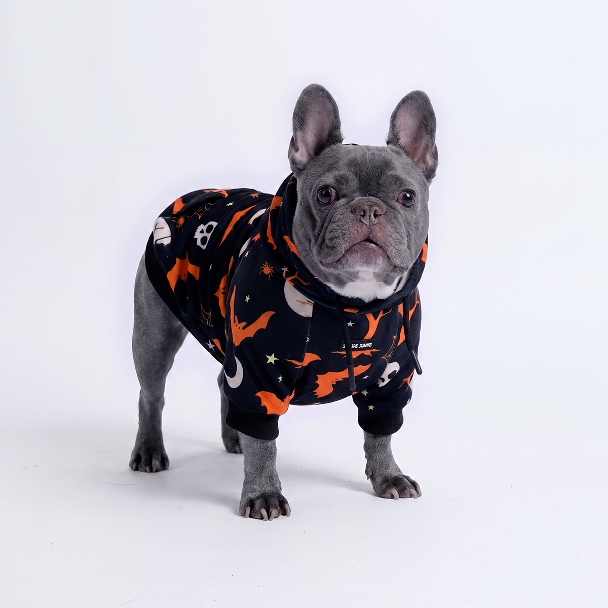 Halloween Dog Hoodies (Limited Edition)