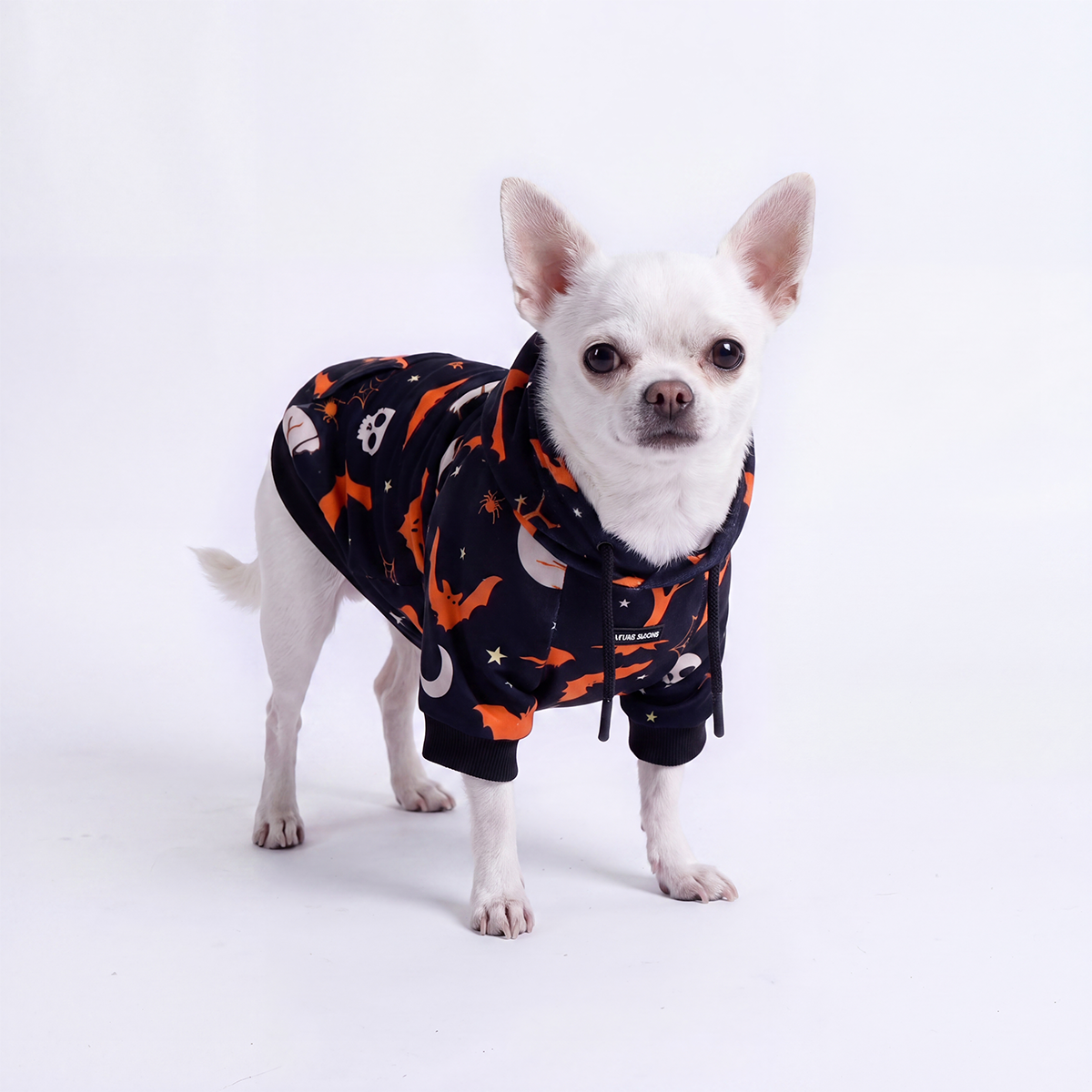 Halloween Dog Hoodies (Limited Edition)