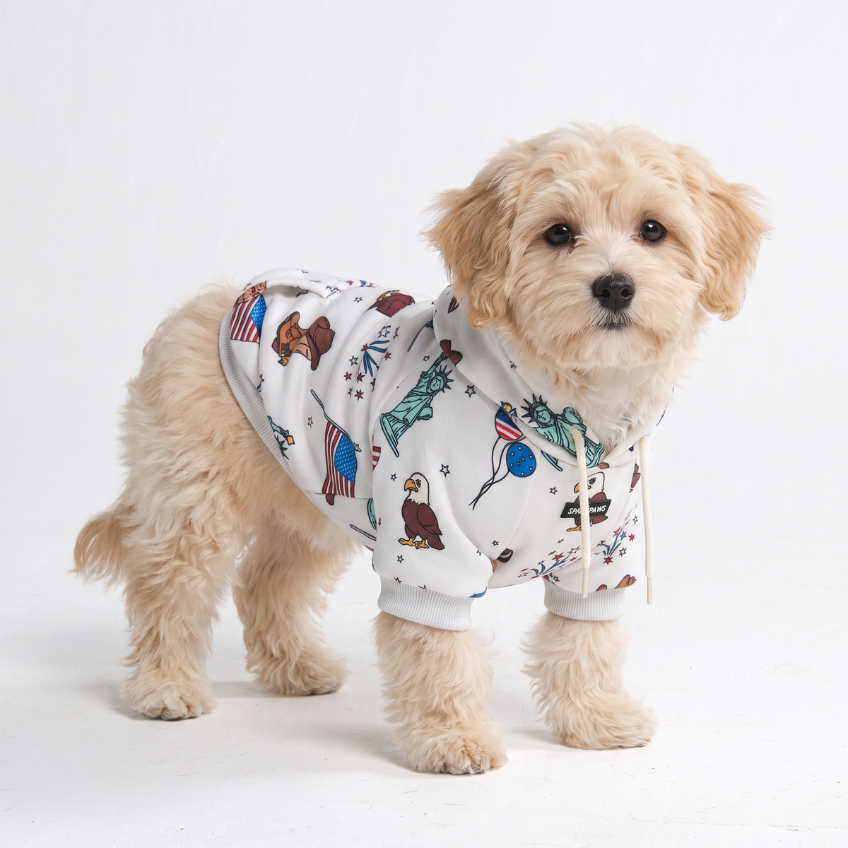 Around the World Dog Hoodies