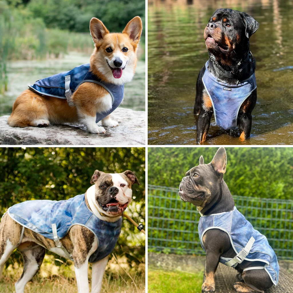 Chilltech™ Dog Cooling Vests
