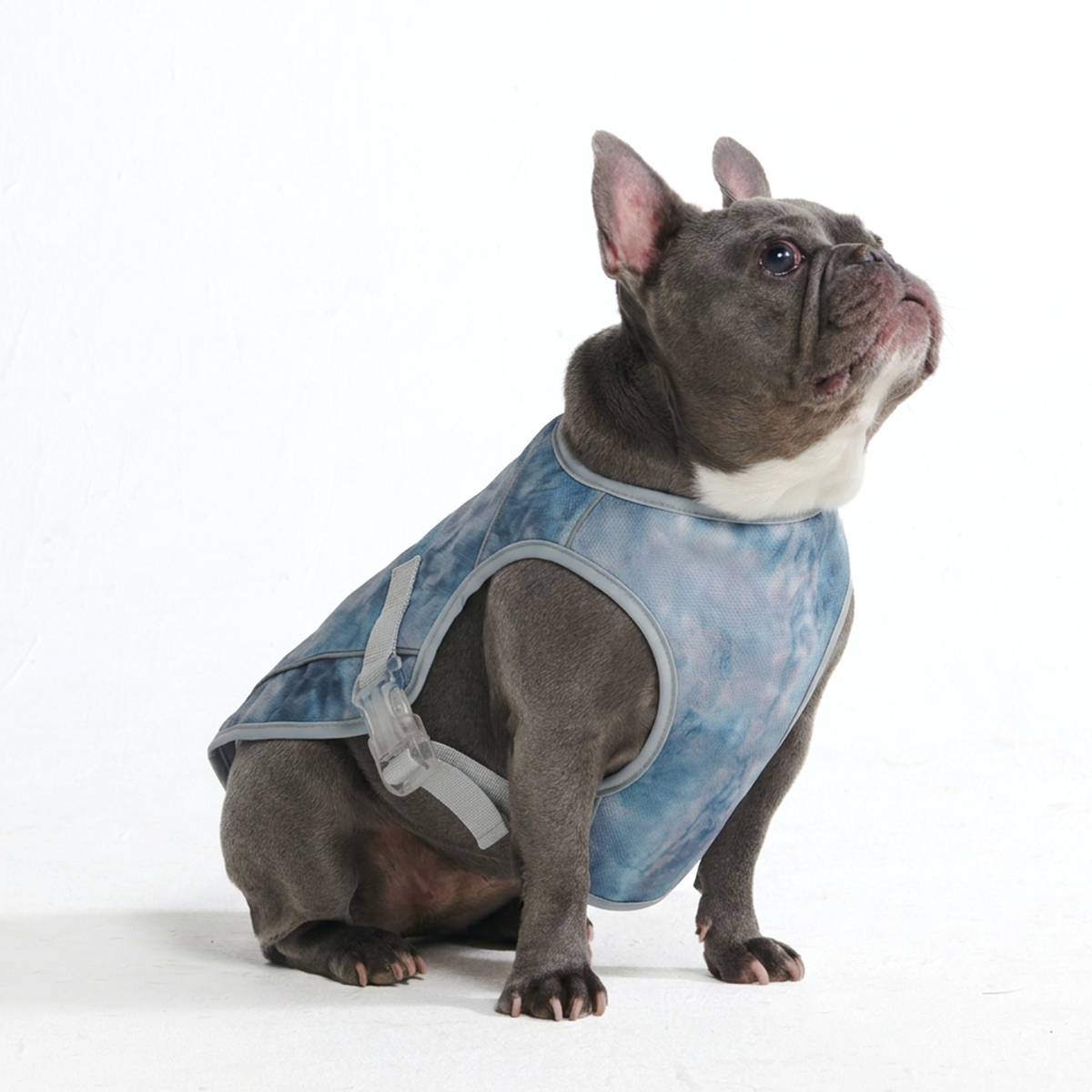 Chilltech™ Dog Cooling Vests