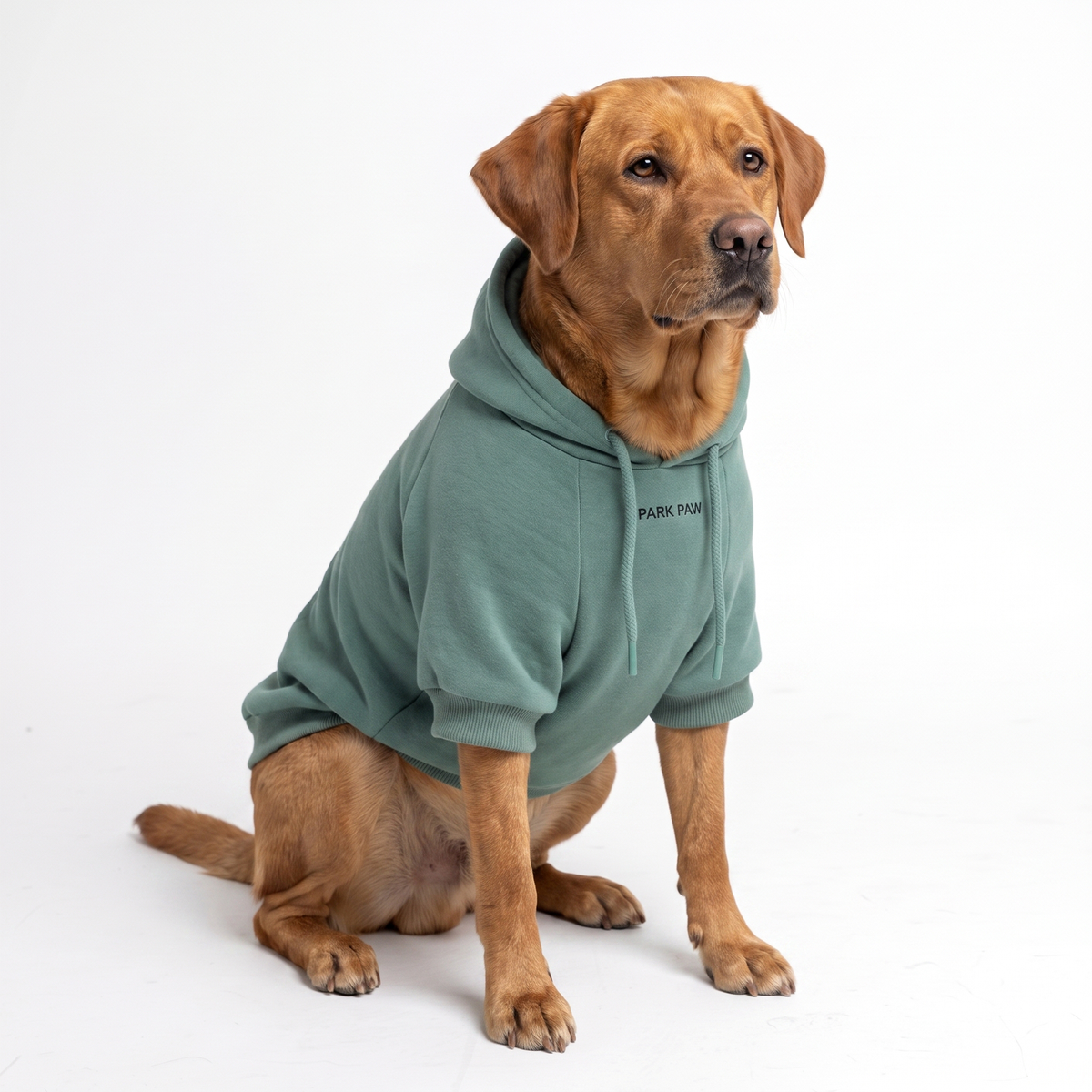 Essential Dog Hoodies