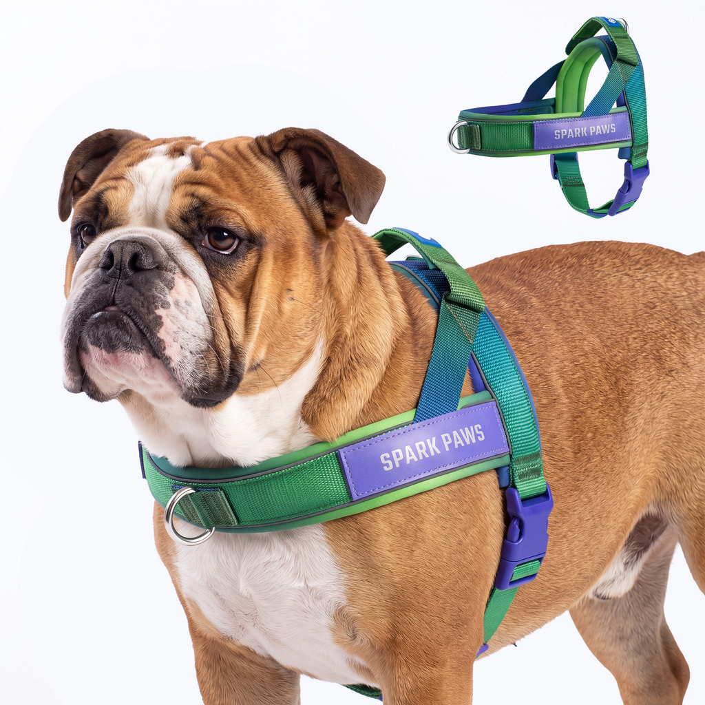 Grab & Go Harness