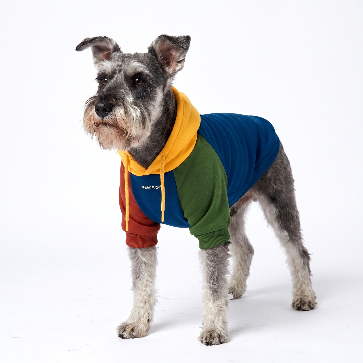 Color Block Dog Hoodies