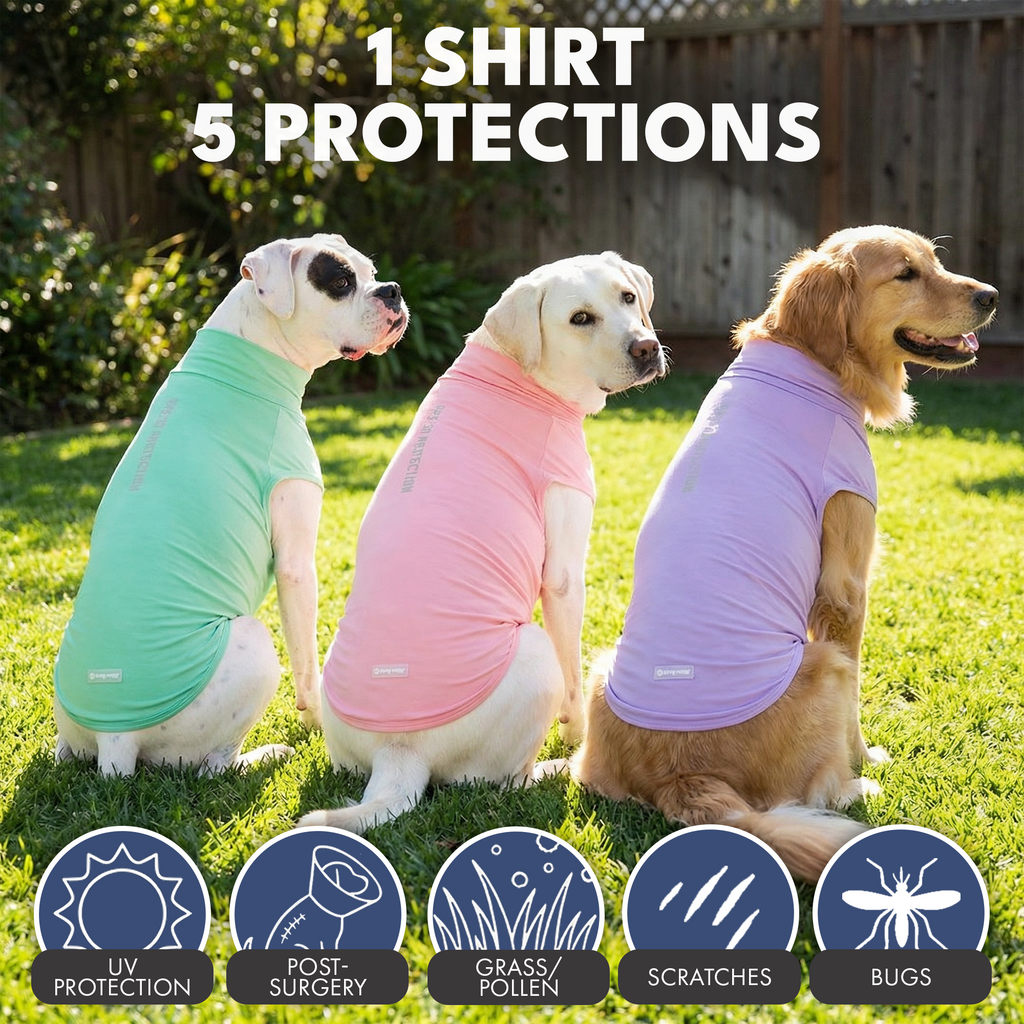 Sunblock T-Shirt 3 Pack