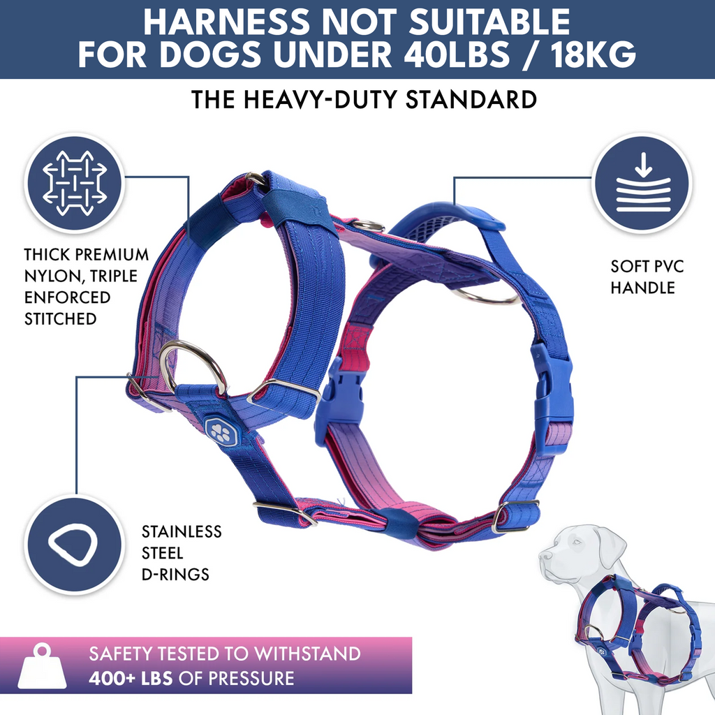 Comfort Control No-Pull Dog Harness and Multipurpose Leash Sets