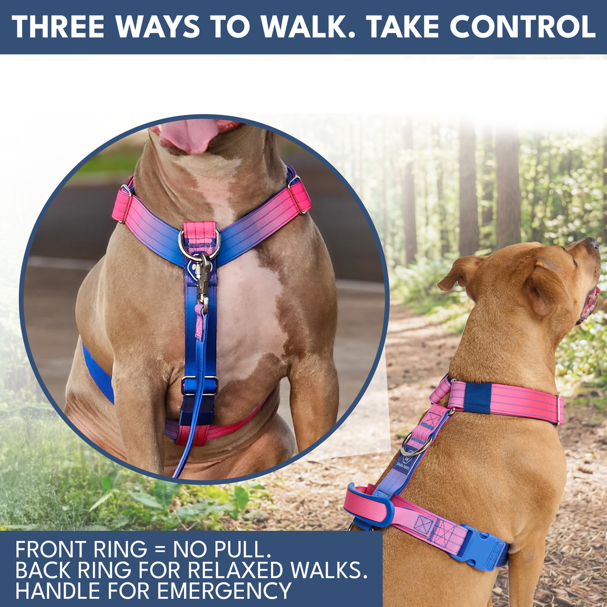 Comfort Control No-Pull Dog Harness and Multipurpose Leash Sets