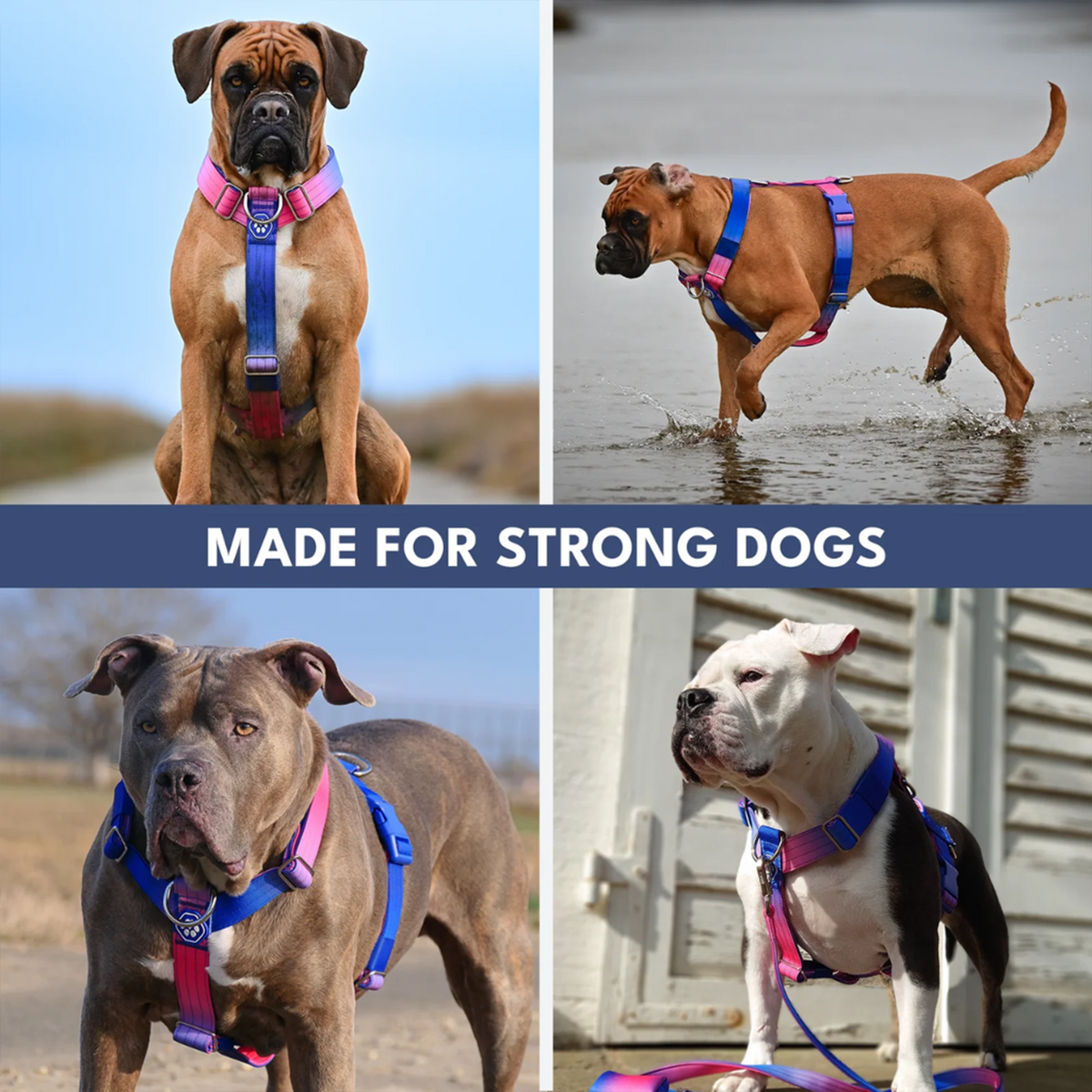 Comfort Control No-Pull Dog Harness and Multipurpose Leash Sets