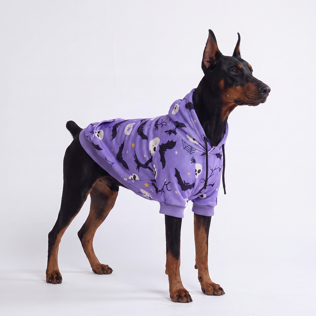 Halloween Dog Hoodies (Limited Edition)