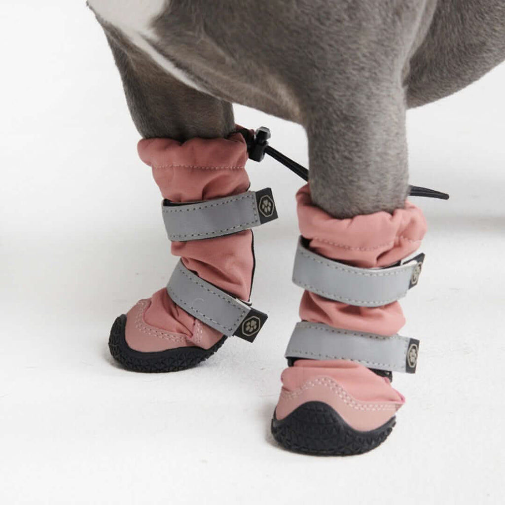 Dog Rainboots. Waterproof Dog Shoes