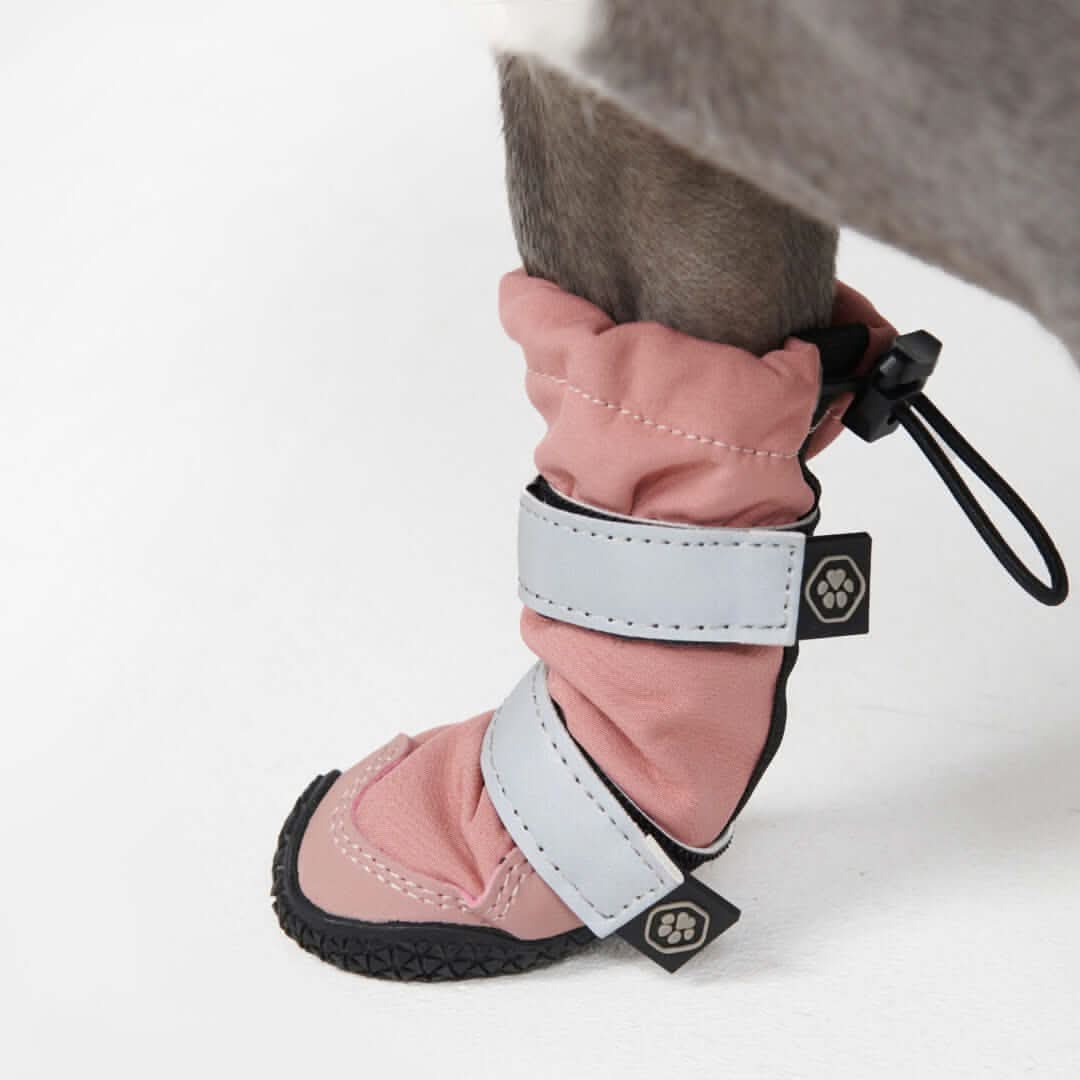 Dog Rainboots. Waterproof Dog Shoes