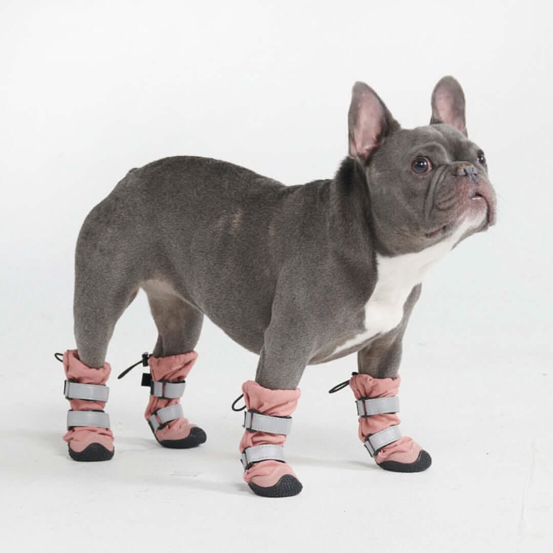 Dog Rainboots. Waterproof Dog Shoes