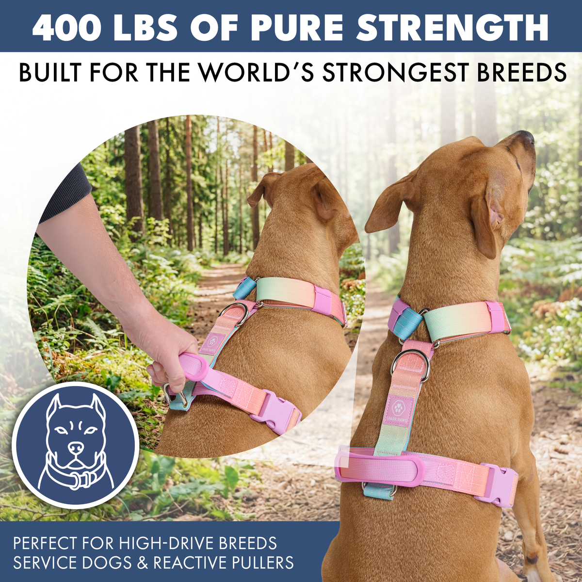 Comfort Control No-Pull Harness Sets