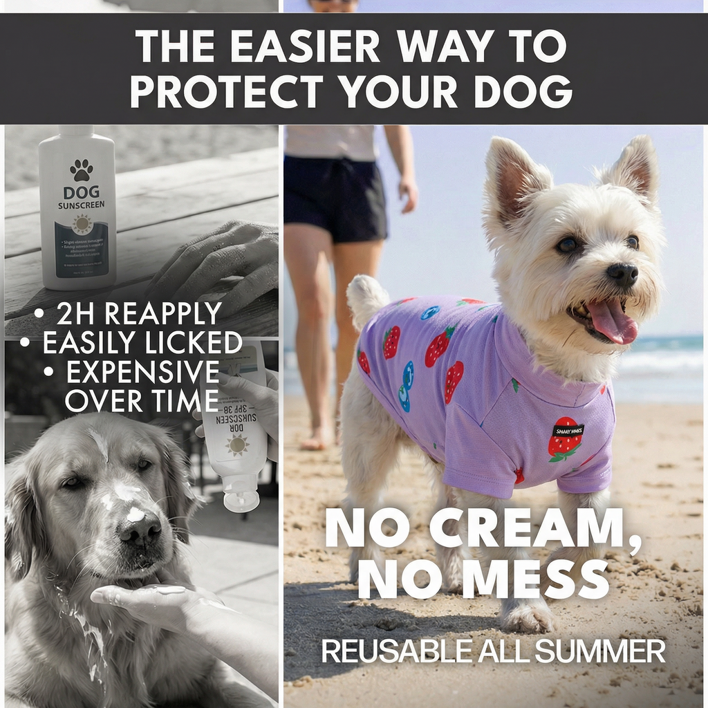 Sunblock T-Shirt 3 Pack