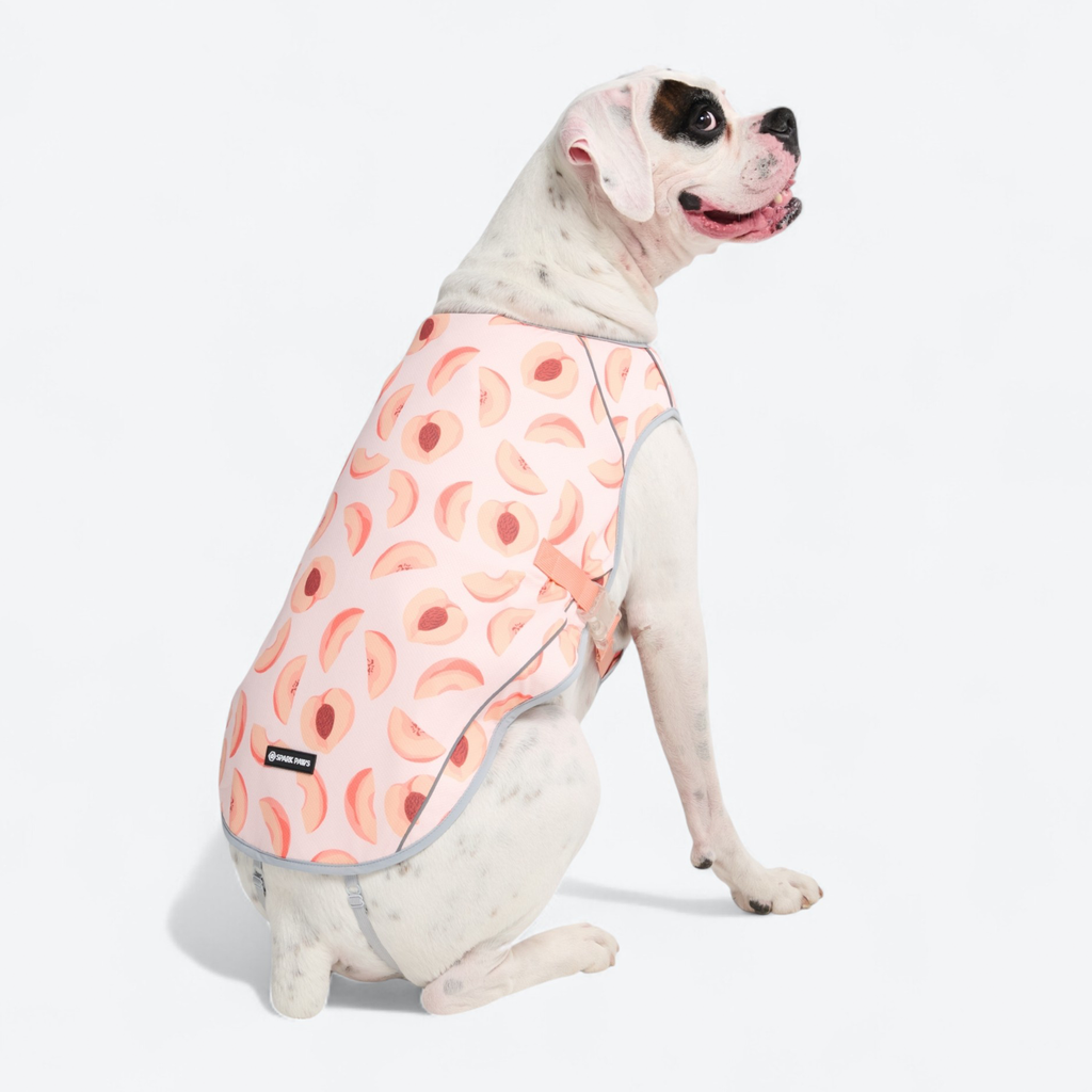 Chilltech™ Dog Cooling Vests