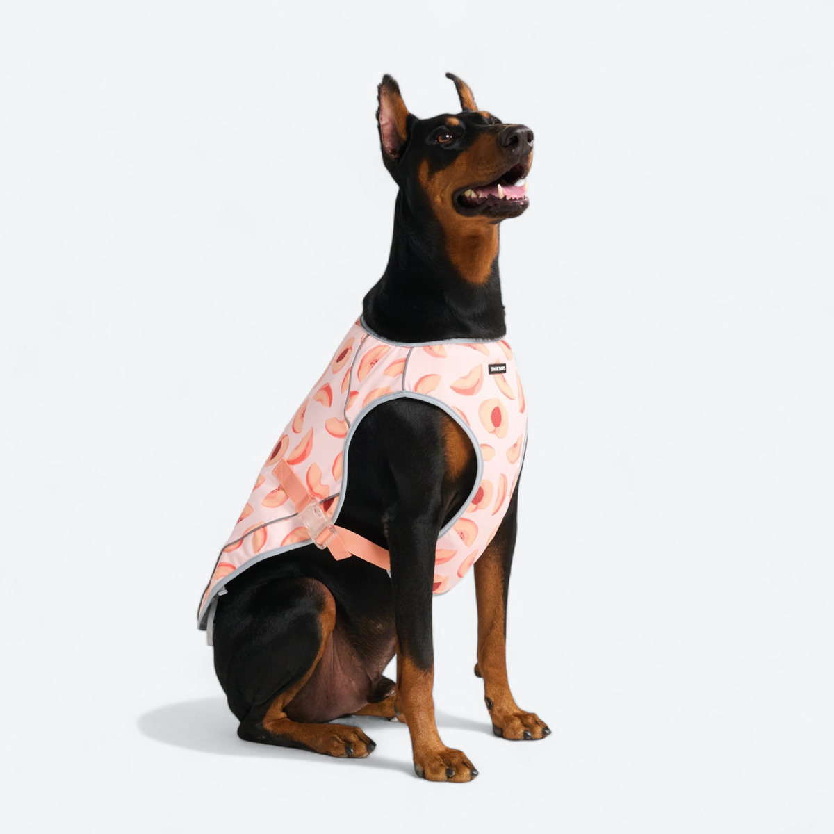 Chilltech™ Dog Cooling Vests