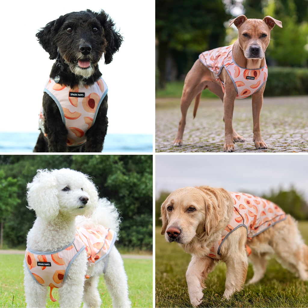 Chilltech™ Dog Cooling Vests