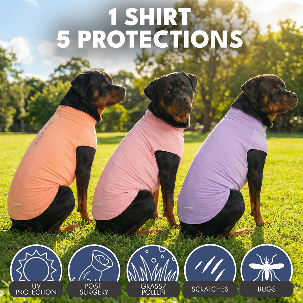 Sunblock T-Shirt 3 Pack
