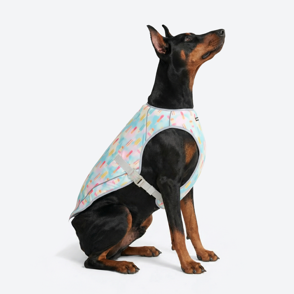 Chilltech™ Dog Cooling Vests