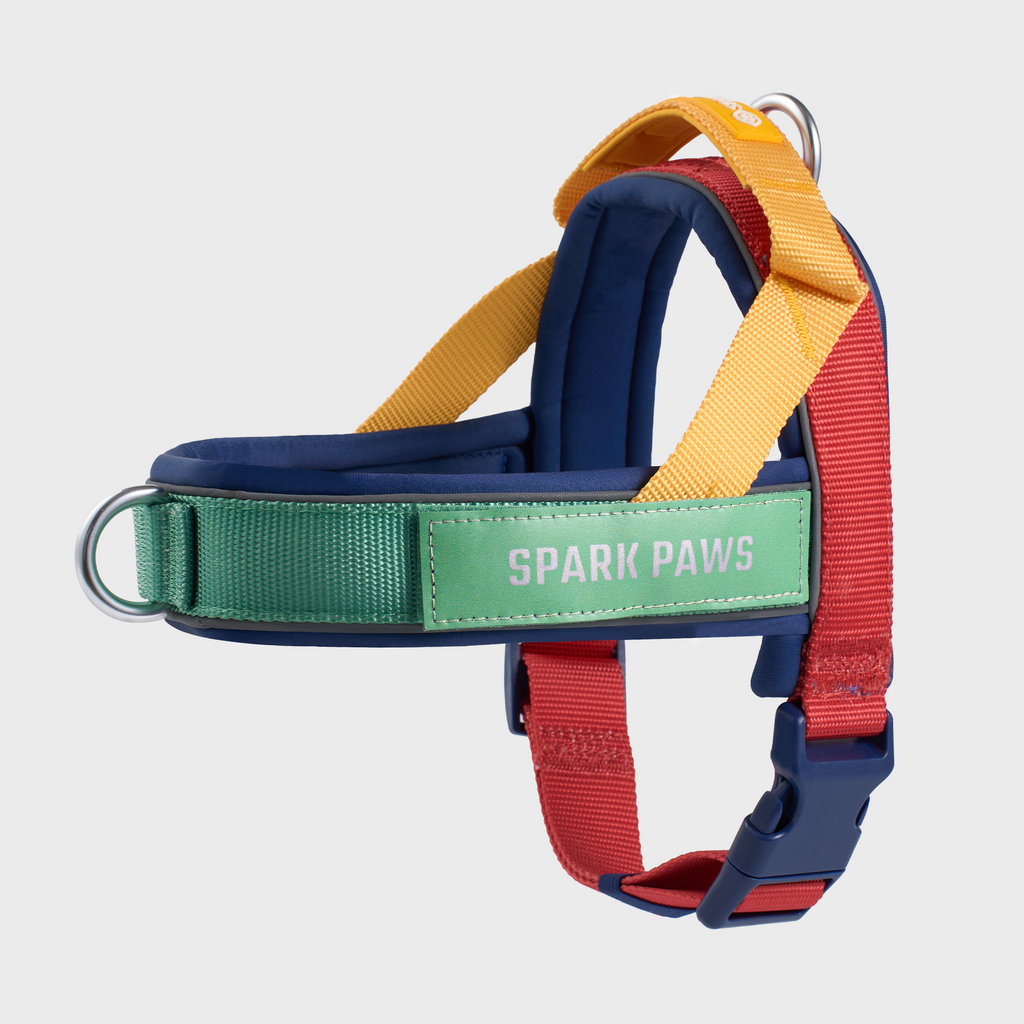 Grab & Go Harness
