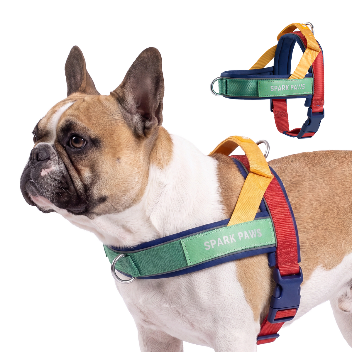 Grab & Go Harness
