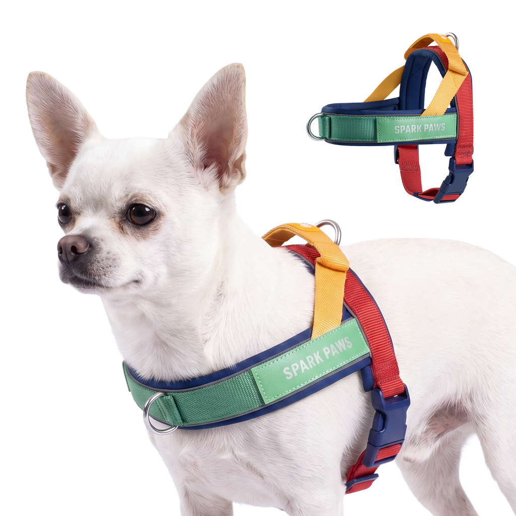 Grab & Go Harness